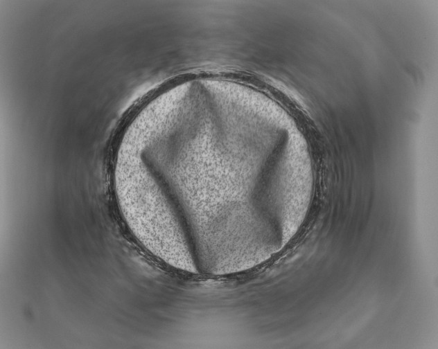 X0000111871160200908131605