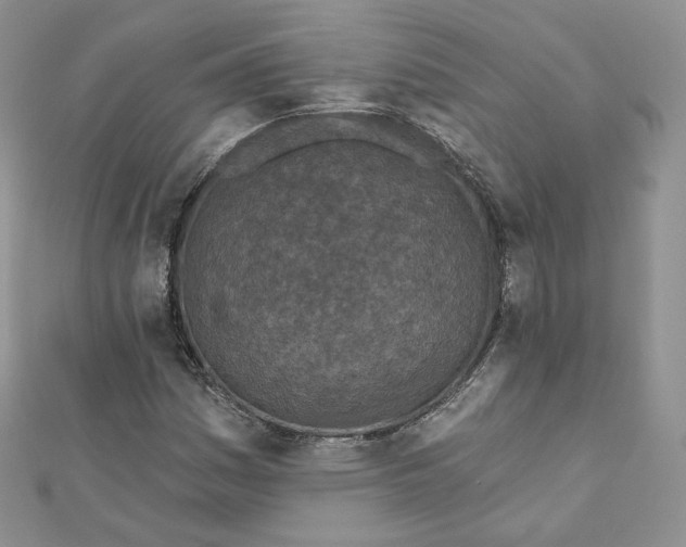 X0000111871161200908131605