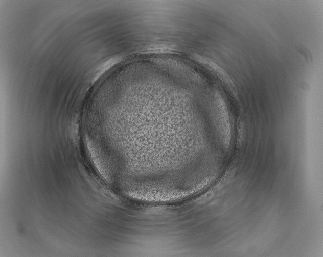 X0000111871162200908131605