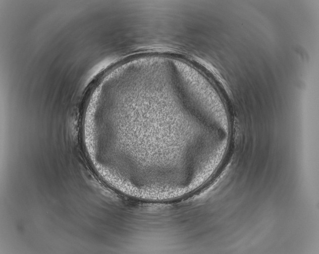 X0000111871163200908131605