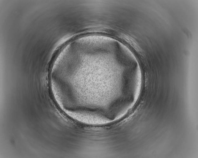 X0000111871164200908131605