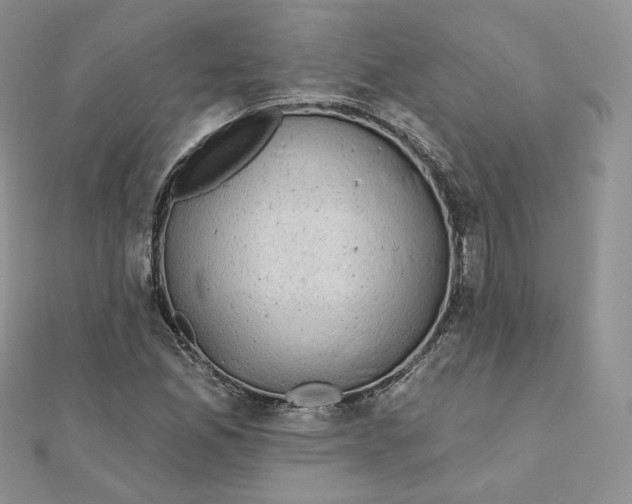 X0000111871165200908131605