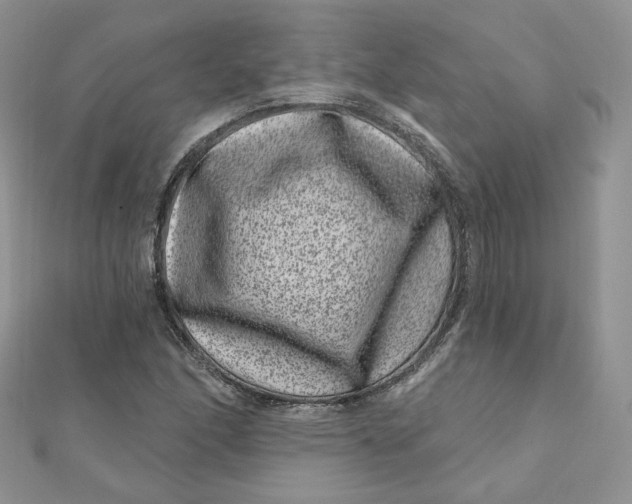 X0000111871166200908131605