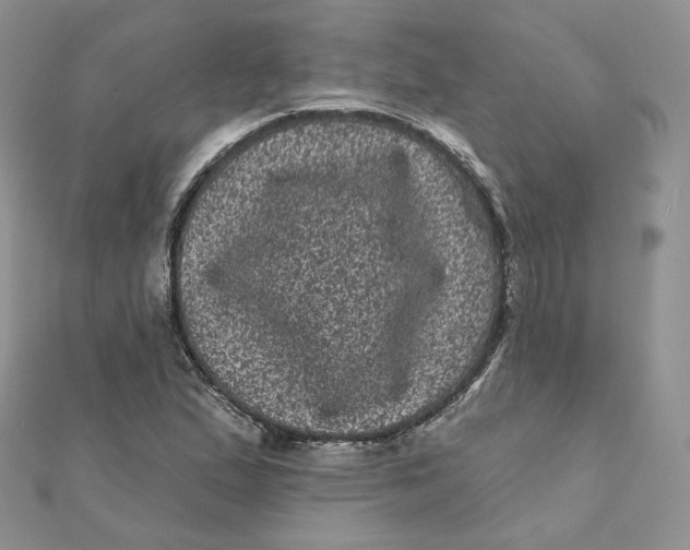 X0000111871167200908131605