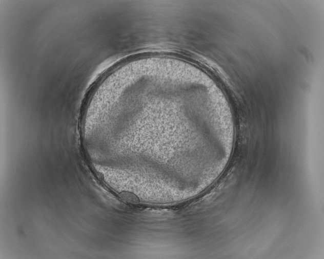 X0000111871168200908131605