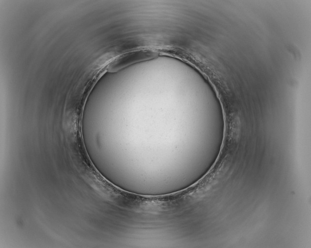 X0000111871169200908131605