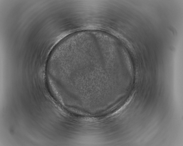 X0000111871170200908131605