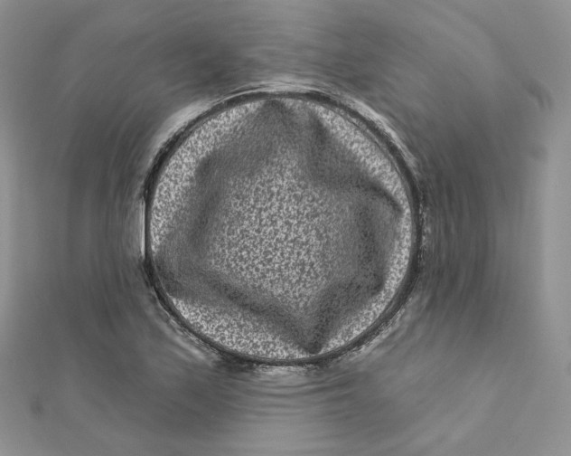 X0000111871171200908131605