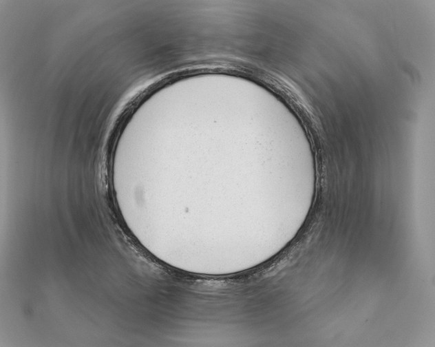 X0000111871172200908131605