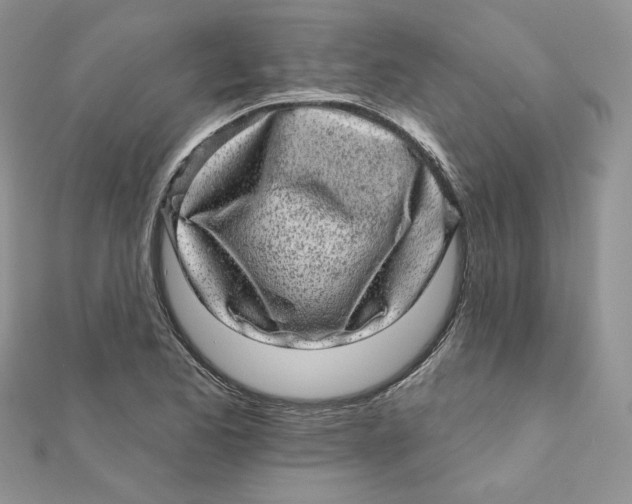 X0000111871173200908131605