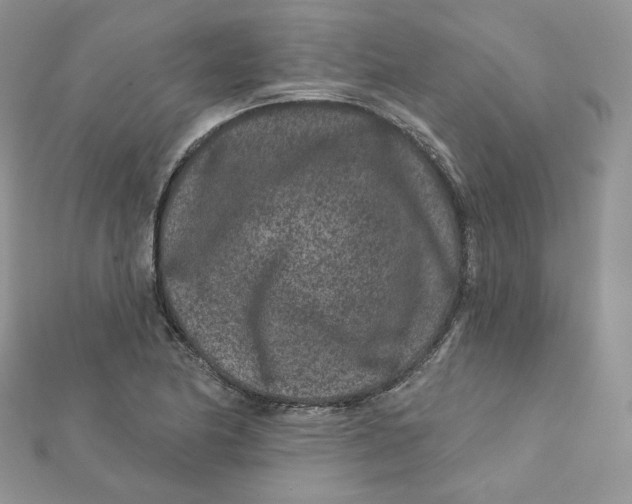 X0000111871174200908131605