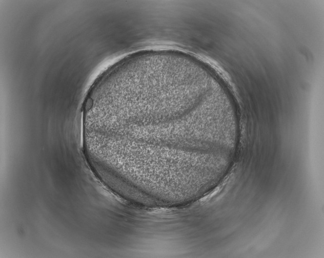 X0000111871175200908131605