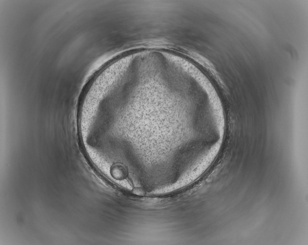 X0000111871176200908131605