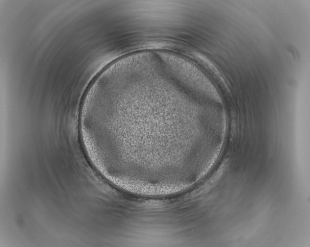 X0000111871178200908131605