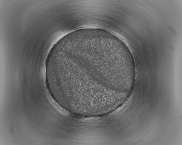 X0000111871179200908131605