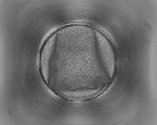 X0000111871180200908131605