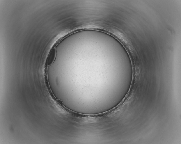 X0000111871181200908131605