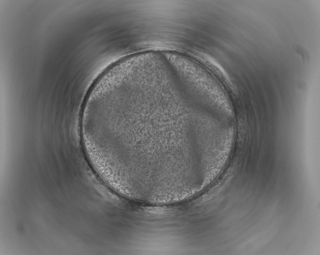 X0000111871182200908131605