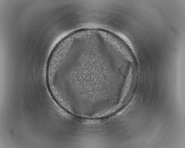 X0000111871183200908131605