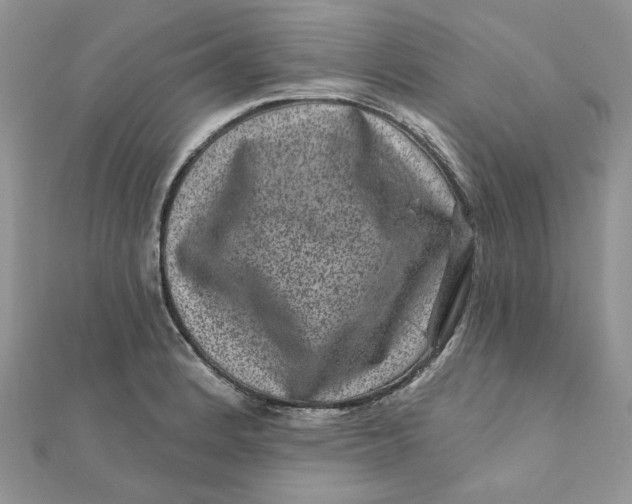 X0000111871184200908131605