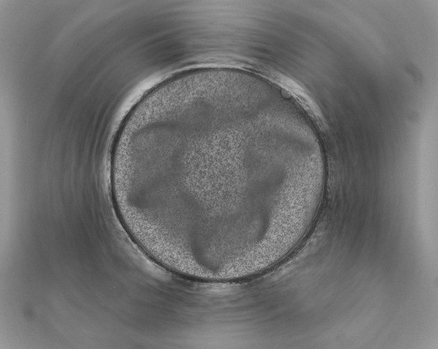 X0000111871188200908131605