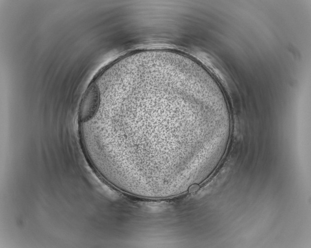 X0000111871189200908131605