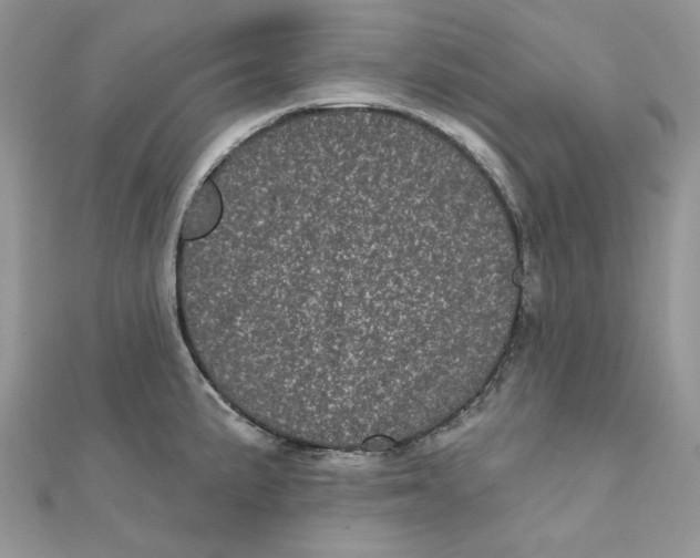 X0000111871191200908131605