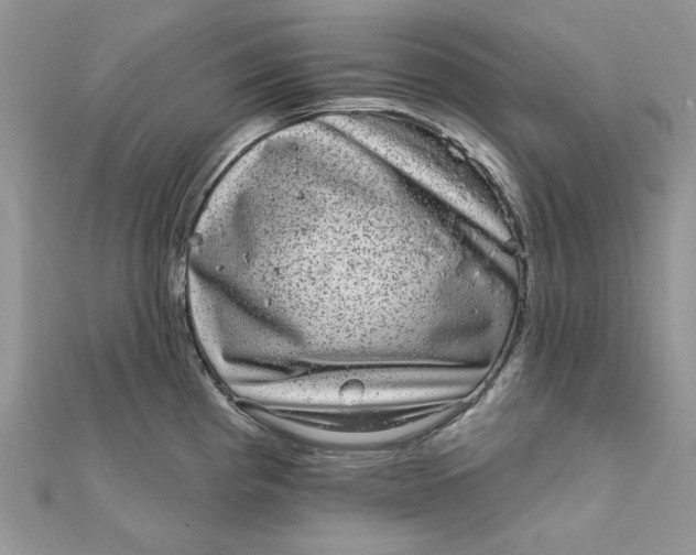 X0000111871193200908131605