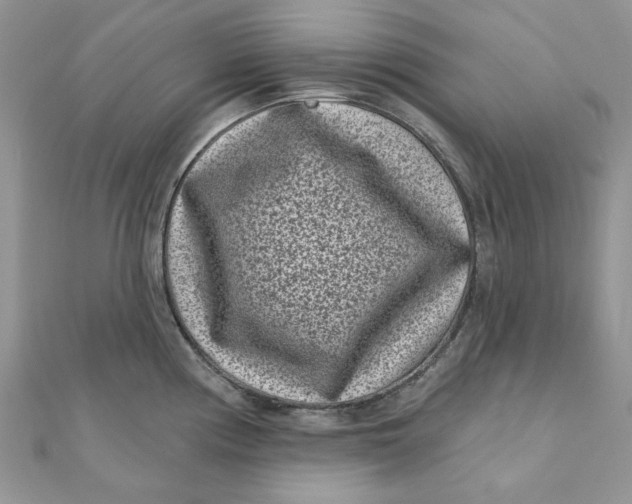 X0000111871194200908131605