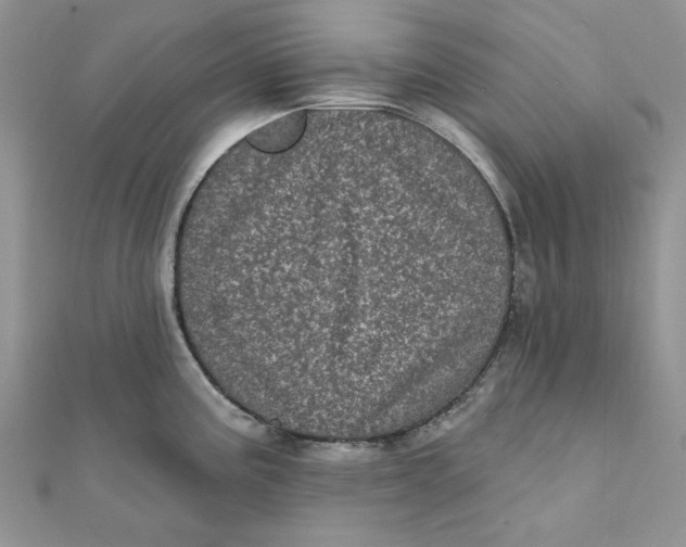 X0000111871195200908131605