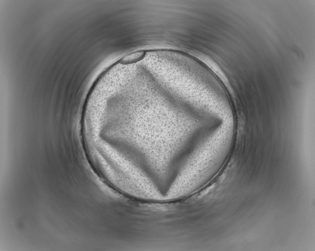 X0000111871197200908131605