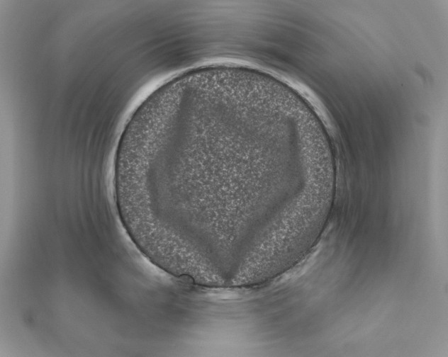 X0000111871199200908131605