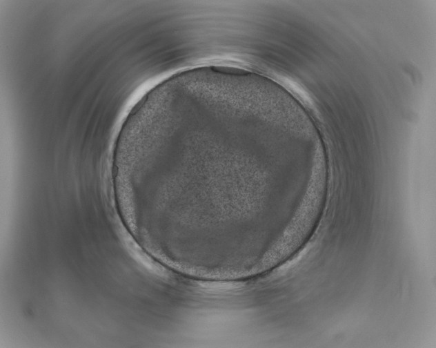 X0000111871200200908131605