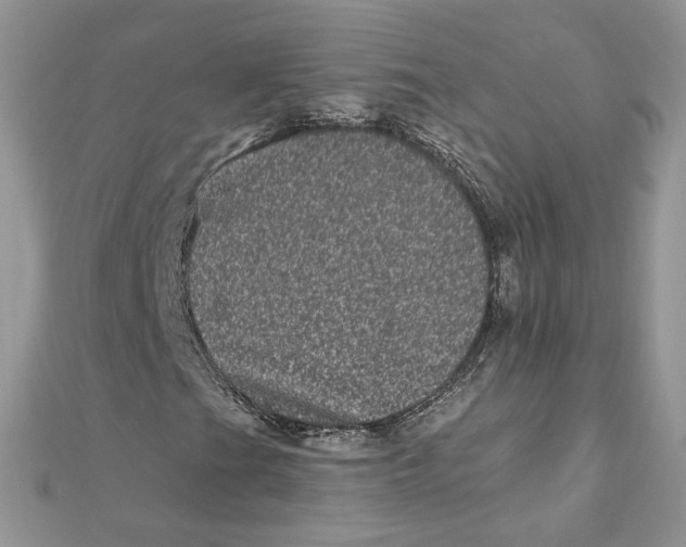 X0000111871201200908131604