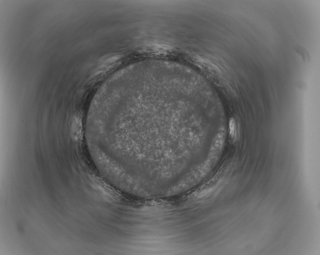 X0000111871203200908131604