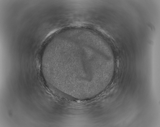 X0000111871206200908131604