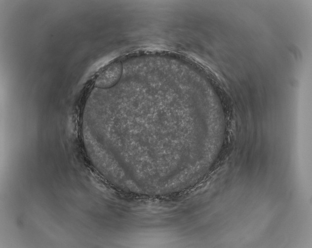 X0000111871207200908131604