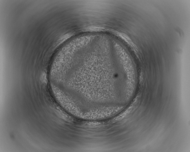 X0000111871209200908131604