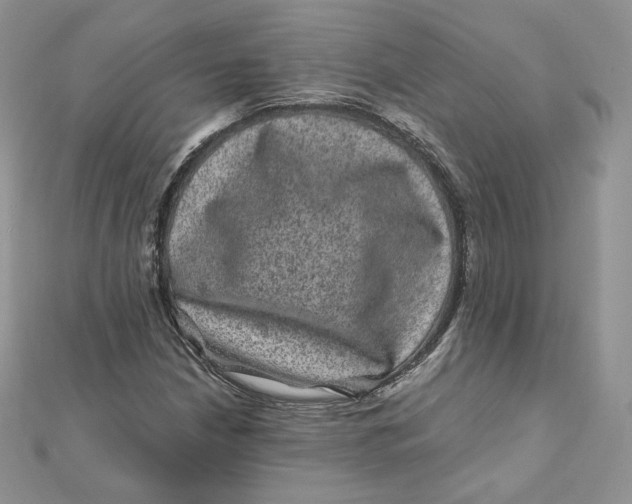 X0000111871210200908131604