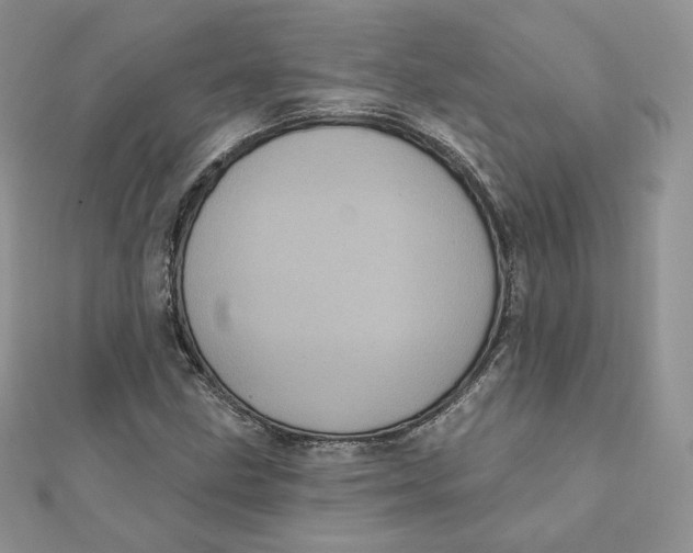 X0000111871211200908131604