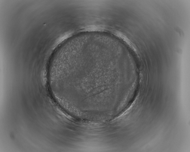 X0000111871213200908131604