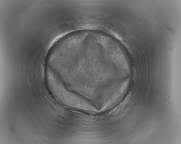 X0000111871214200908131604