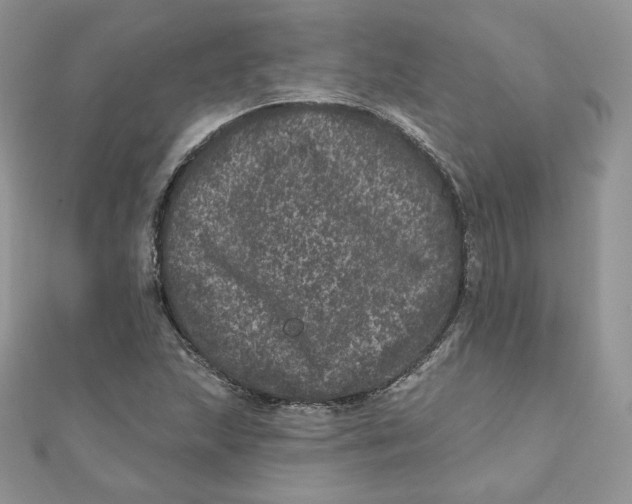 X0000111871215200908131604