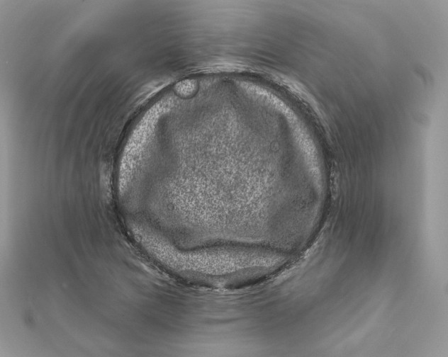 X0000111871217200908131604