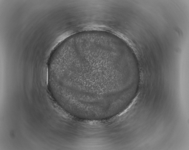 X0000111871219200908131604