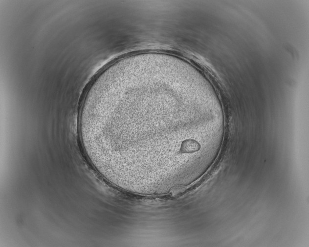 X0000111871220200908131604