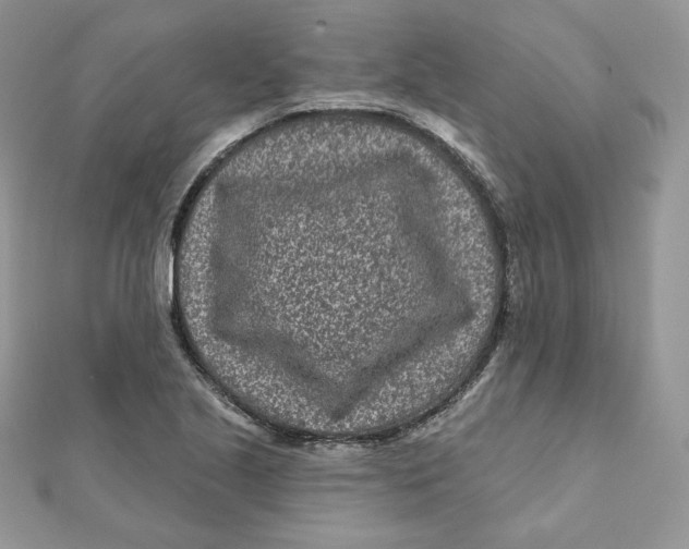 X0000111871221200908131604