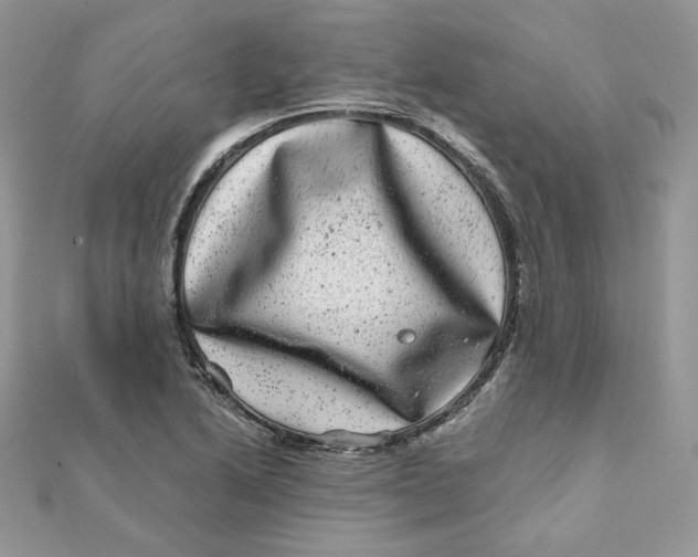 X0000111871222200908131604