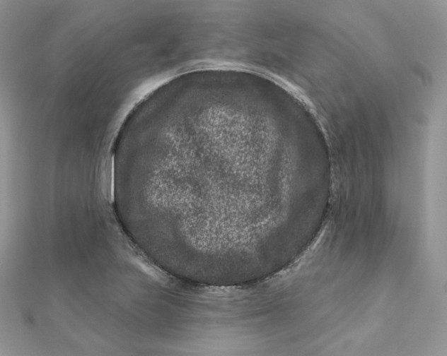 X0000111871223200908131604