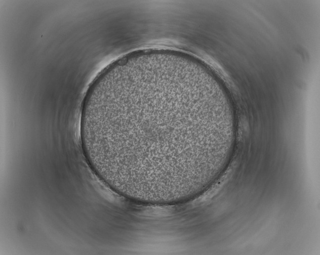 X0000111871224200908131604